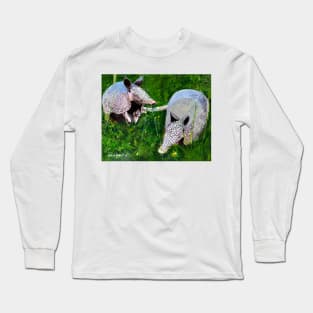 Playful Armadillos Long Sleeve T-Shirt